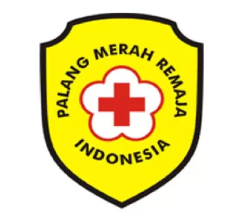 PMR